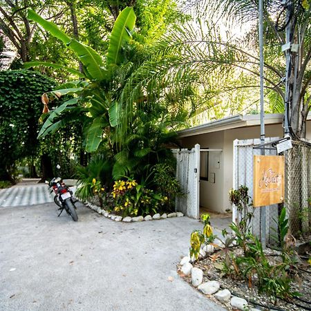 הוילה Playa Santa Teresa  Casa Keshet מראה חיצוני תמונה